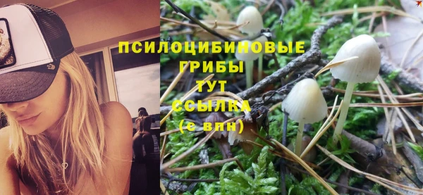 дмт Валдай